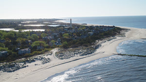 A Seagull's View of  the Jersey Shore