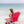 Dune High Backpack Beach Chair in Watermelon Pink