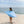 Load image into Gallery viewer, Laura Ashley x LowTides Sweet Alyssum Eco Beach Towel
